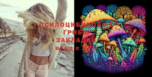 МДПВ Михайловка