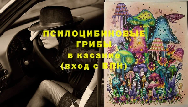 МДПВ Михайловка