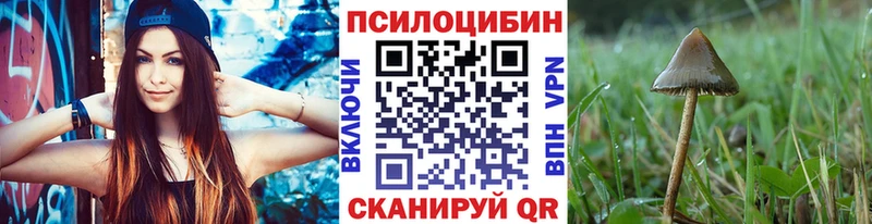 Псилоцибиновые грибы GOLDEN TEACHER  купить  цена  Шуя 